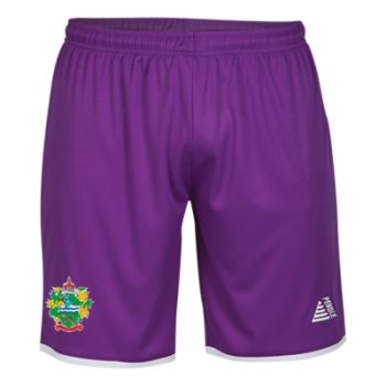 Goalkeeper Shorts (Embroidered Badge and Sponsor)